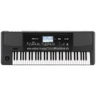 KORG Pa300